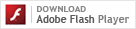 Install Adobe Flash Player
